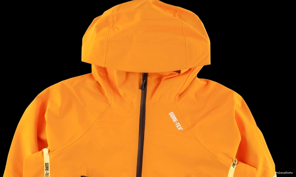 Cheap Palace Gore-Tex Palex Jacket 0716